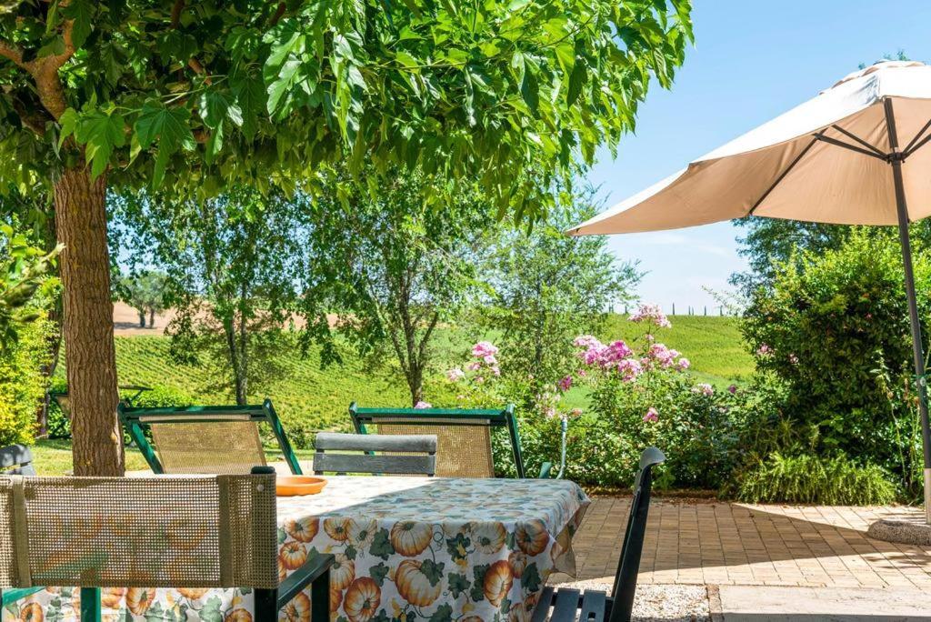 Vigna Sant' Amico Country House Morro dʼAlba Buitenkant foto