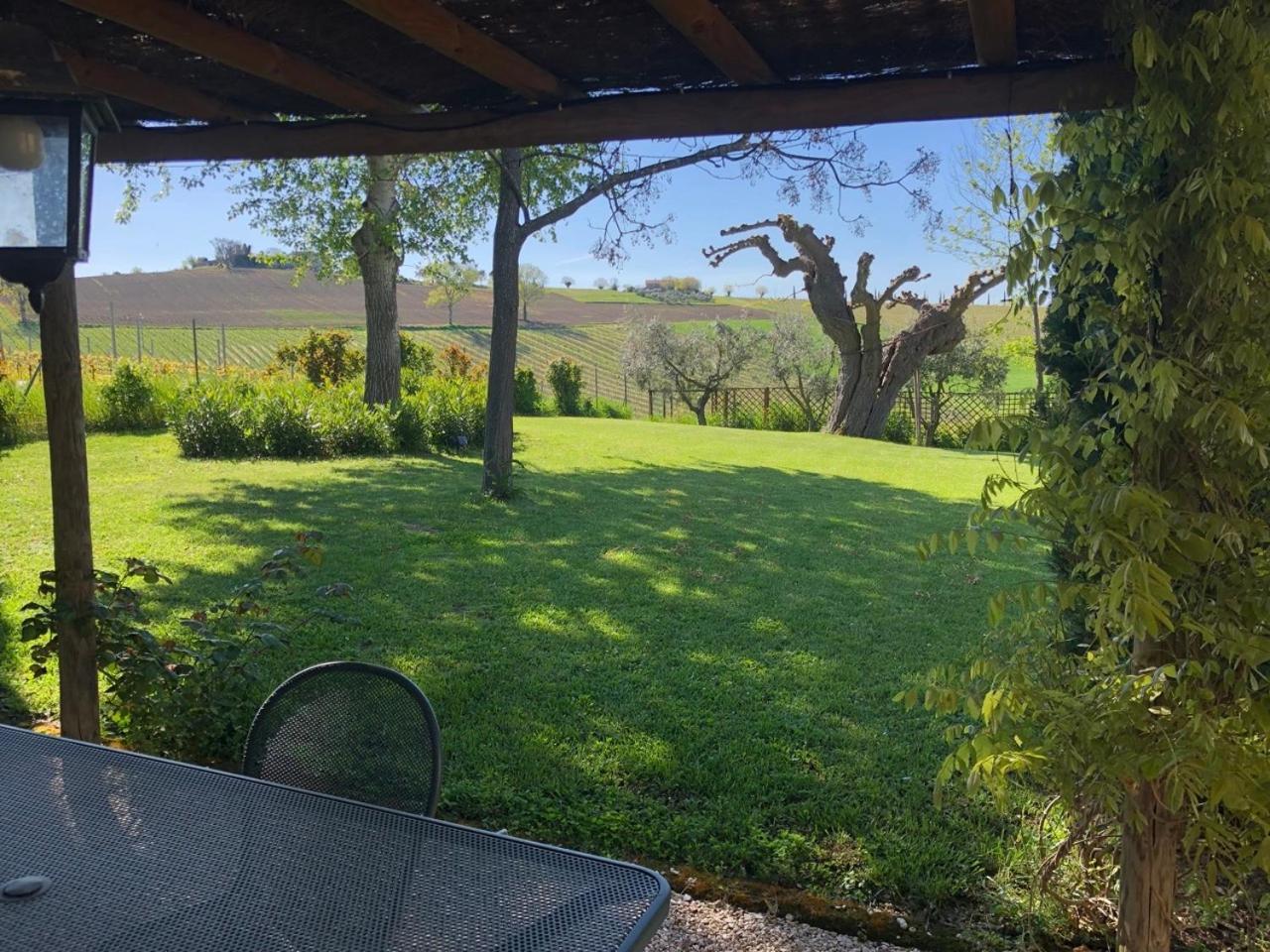 Vigna Sant' Amico Country House Morro dʼAlba Buitenkant foto