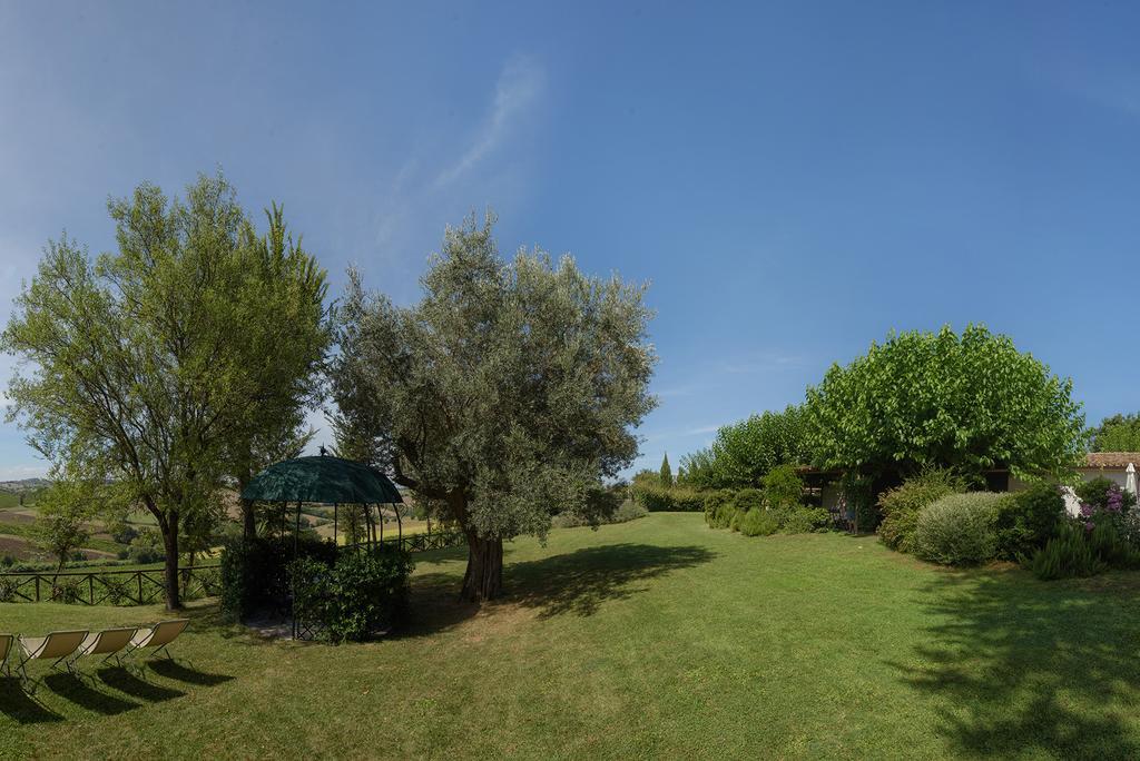Vigna Sant' Amico Country House Morro dʼAlba Buitenkant foto
