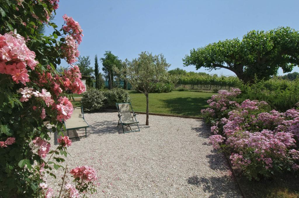 Vigna Sant' Amico Country House Morro dʼAlba Buitenkant foto