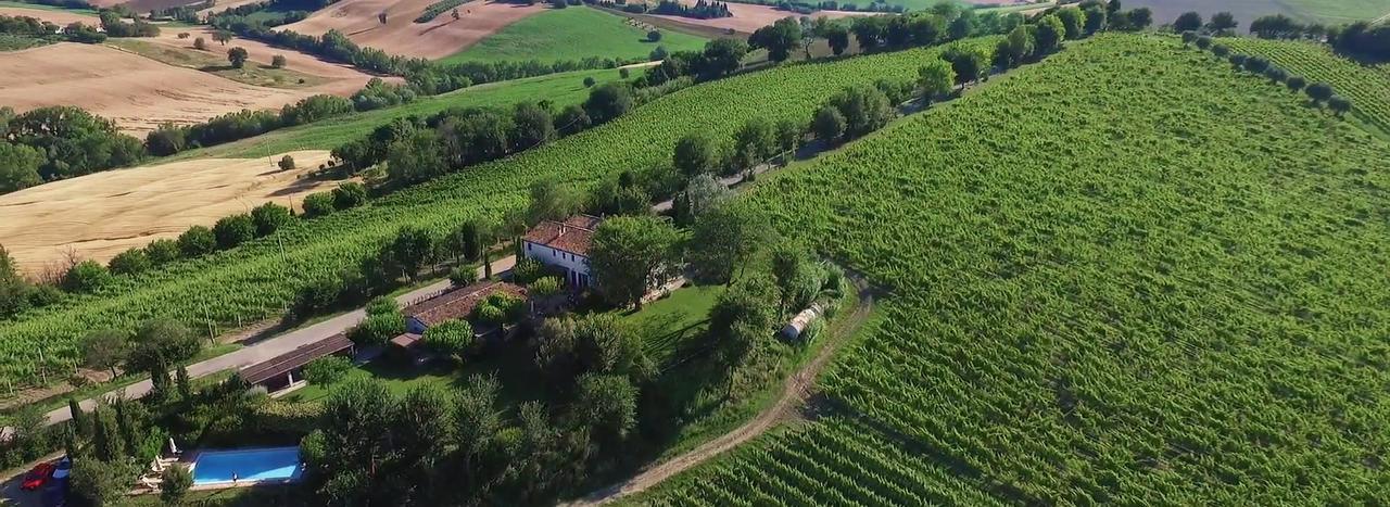 Vigna Sant' Amico Country House Morro dʼAlba Buitenkant foto